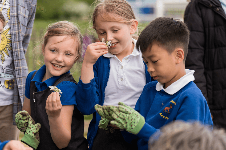 Level 1 Rhs School Gardening Awards Rhs Campaign For School Gardening